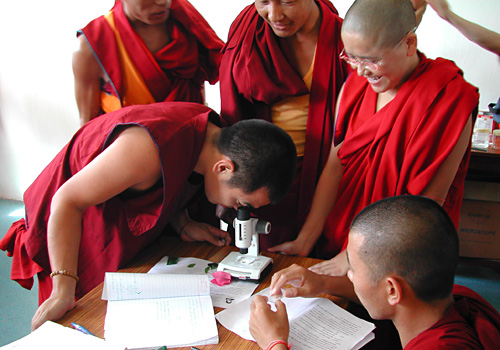 Buddhist Monks look in a microscope