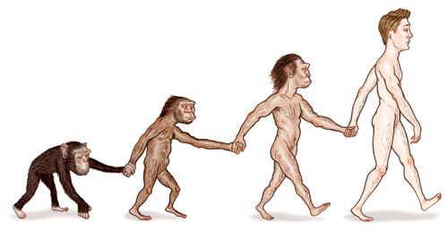 Illustration of evolving man holding hands with previous generations