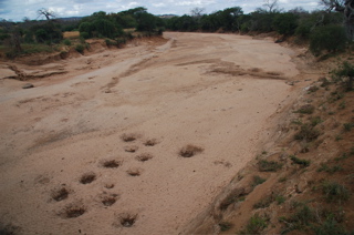   The Tiva River, one of Ikutha’s primary rivers, is dry most of the year although after the rains water can be found just below the surface where it is scooped into jerricans – notice the holes in the river bed.  