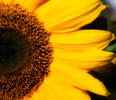 Seney Hall gets a fEmory Cares 4 U expands suicide prevention outreachace-lift