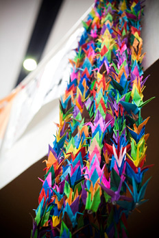 Origami cranes