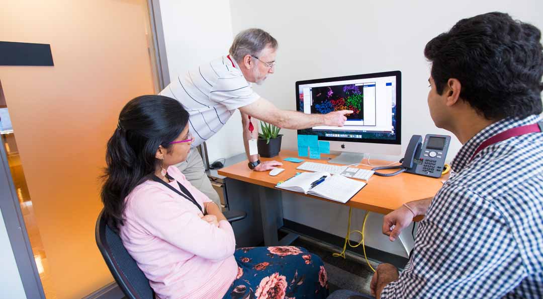 professor pointing at information on computer screen while two students look on