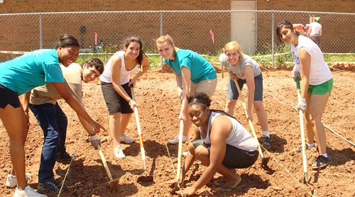 Students working in a garden with hoes and shovels