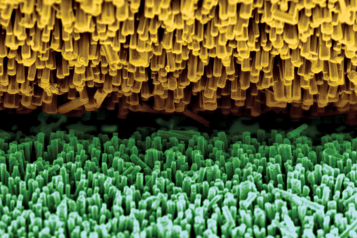  Computer rendering of fibers
