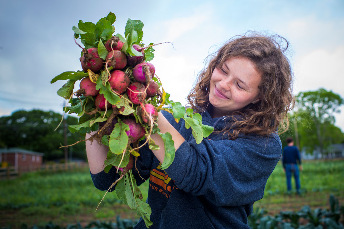 Woman holding up bunch of newly harvested beets