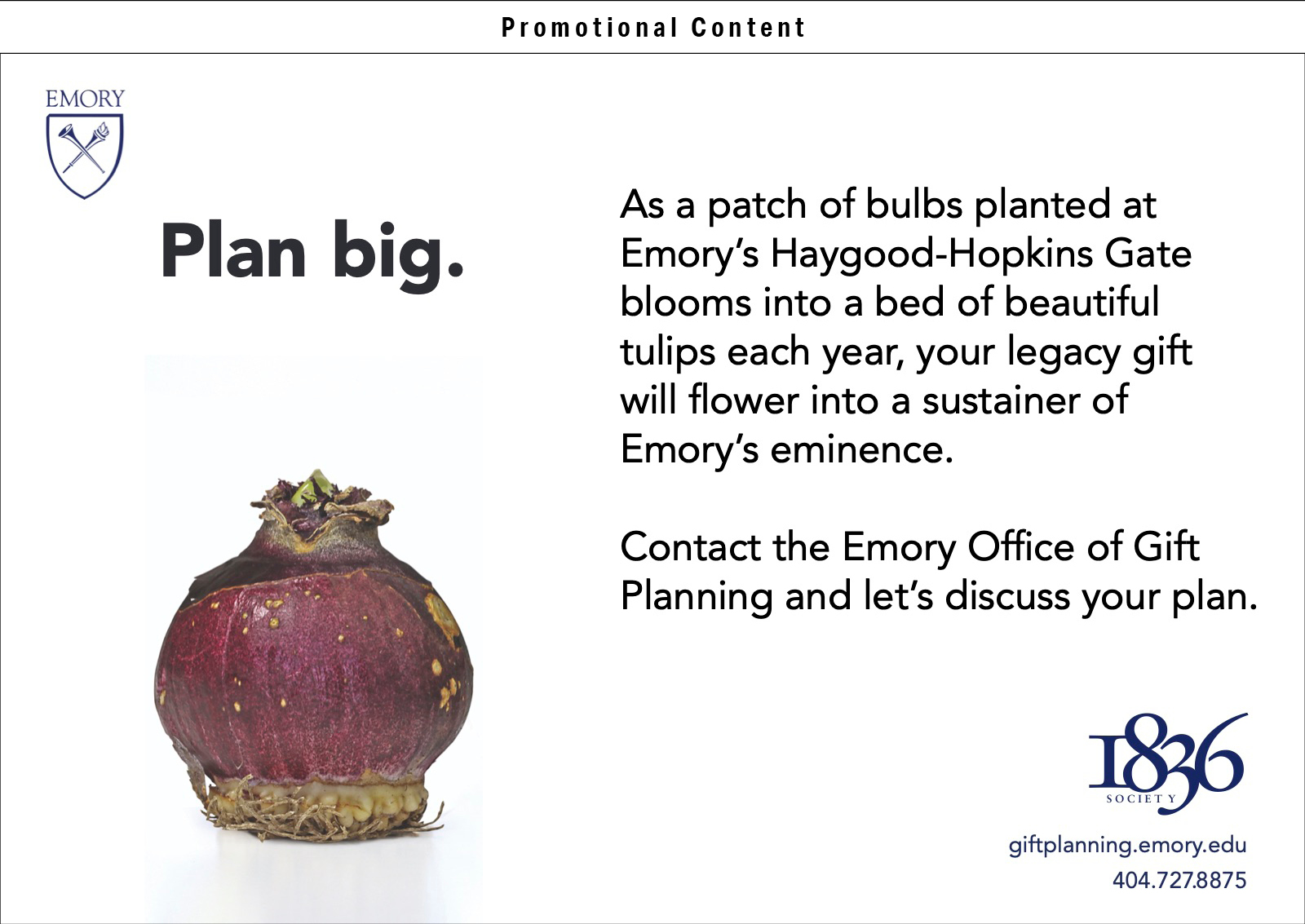 As a patch of bulbs planted at Emory’s Haygood-Hopkins Gate blooms into a bed of beautiful tulips each year, your legacy gift will flower into a sustainer of Emory’s eminence. Contact the Emory Office of Gift Planning and let’s discuss your plan.