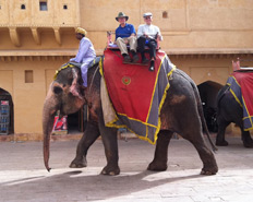 An Emory delegation recently returnd from travels in India