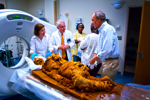 The conservation team used radiology to assess the mummy.
