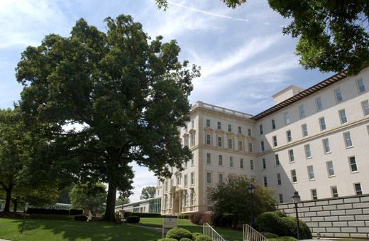 The giant white oak in front of Emory University Hospital was taken down, after succumbing to Ambrosia beetles.