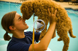 july slideshow