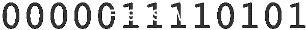 F19 SSNMR