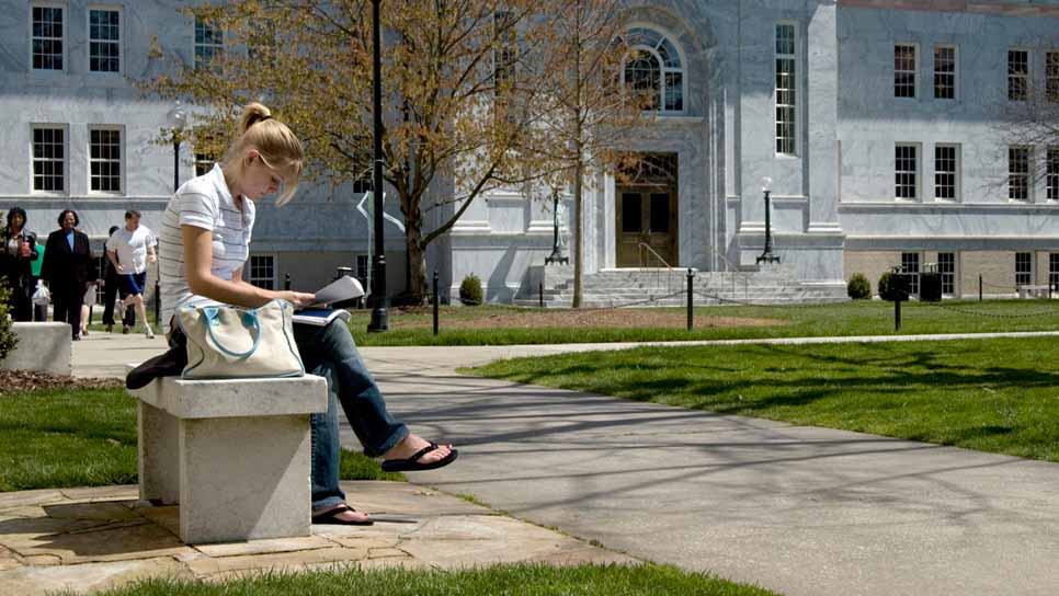 student reading on bench in quad