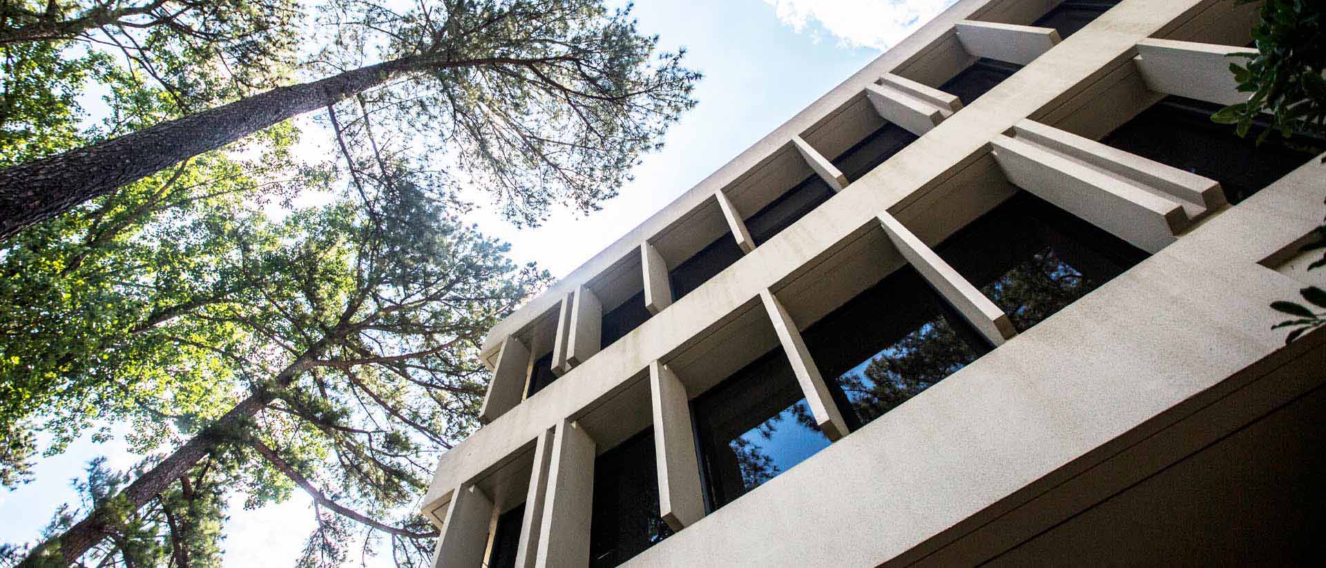 view looking up at the front of a modern building and trees