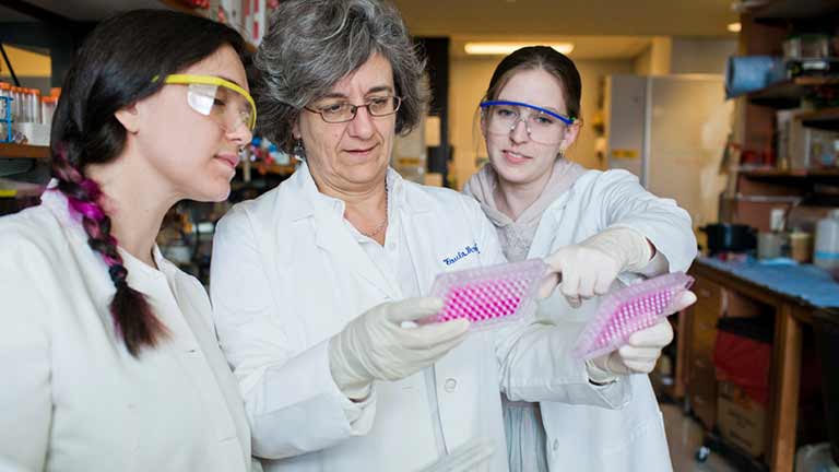 three scientists looking at samples