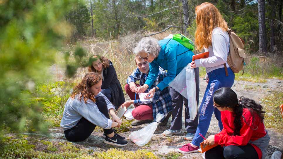 students collecting samples outside