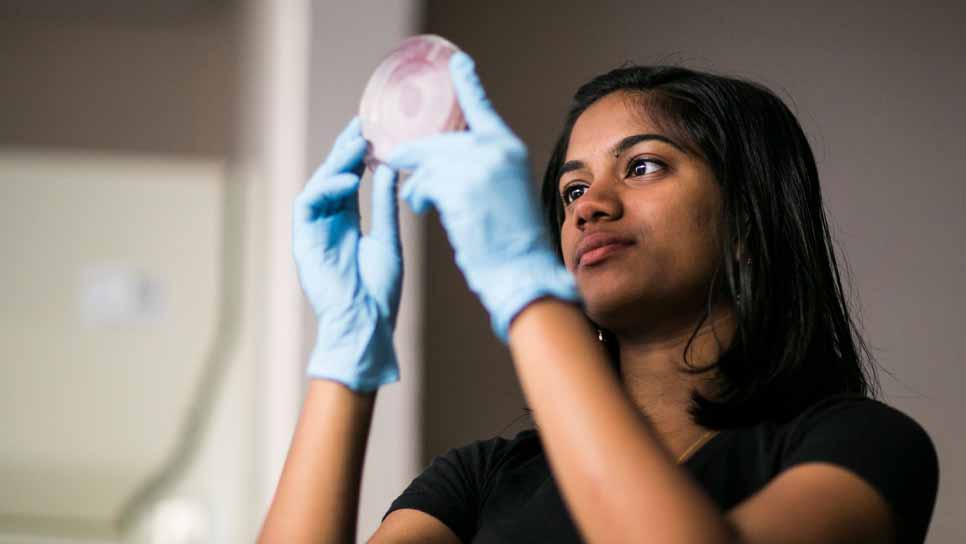 female student look at cells