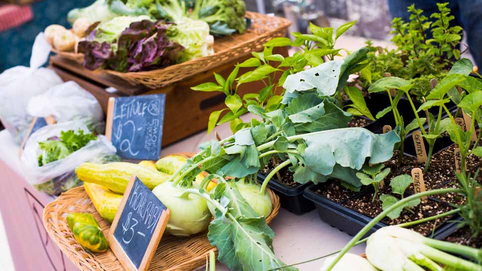 produce at the farmers market