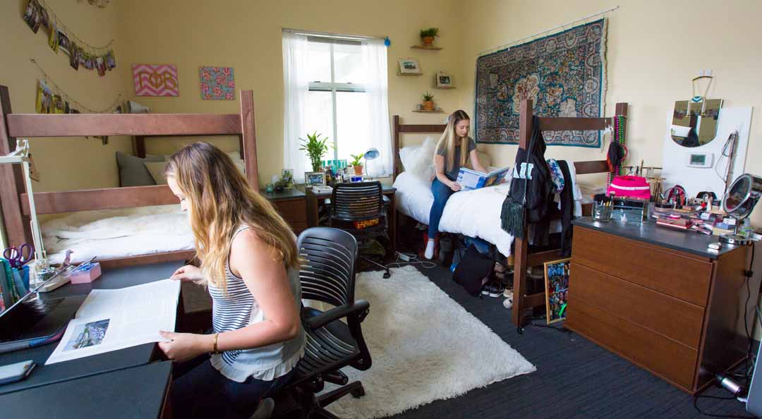 students studying in dorm room