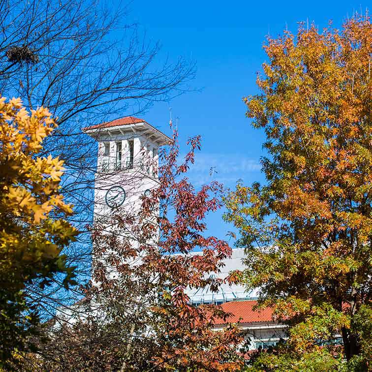 Clock tower and trees in autumn