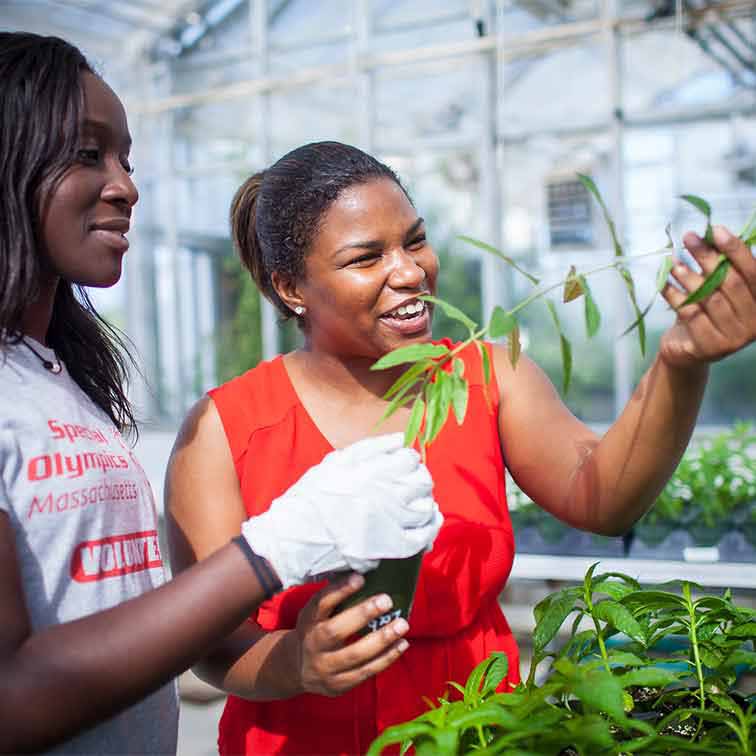Instructor and graduate student examining a plant in a greenhouse