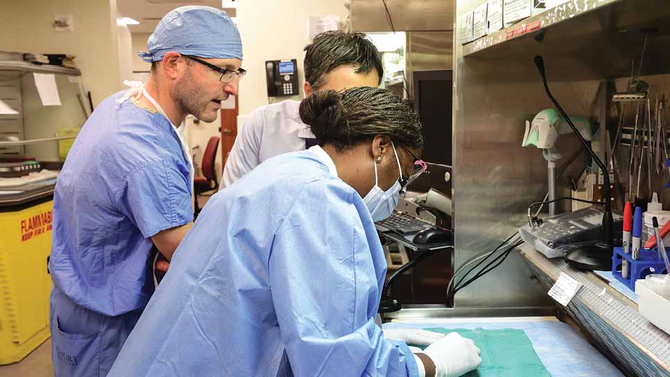 medical team working in hospital