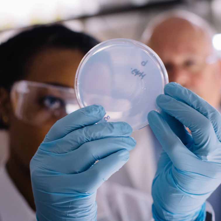 two scientists examining experiment