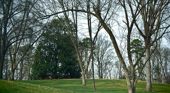 lullwater green space