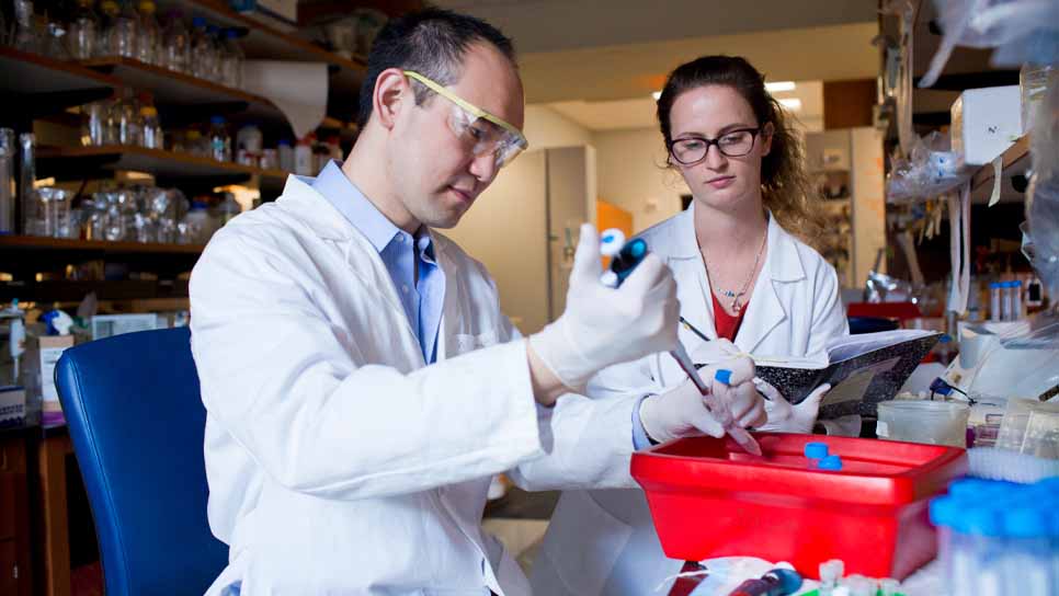 two scientists in lab do research