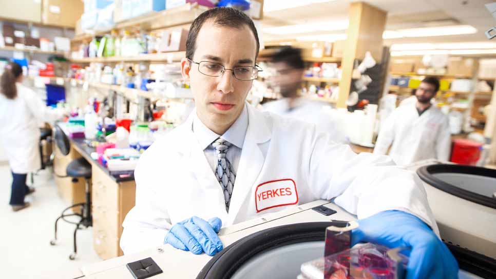 male scientist in lab working on research