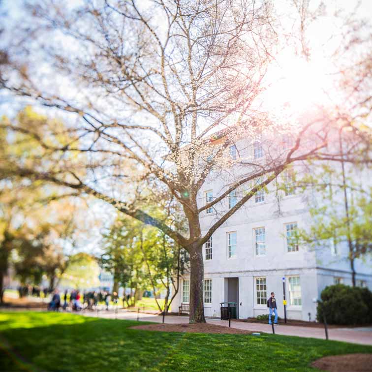 view of quad with trees and sun burst