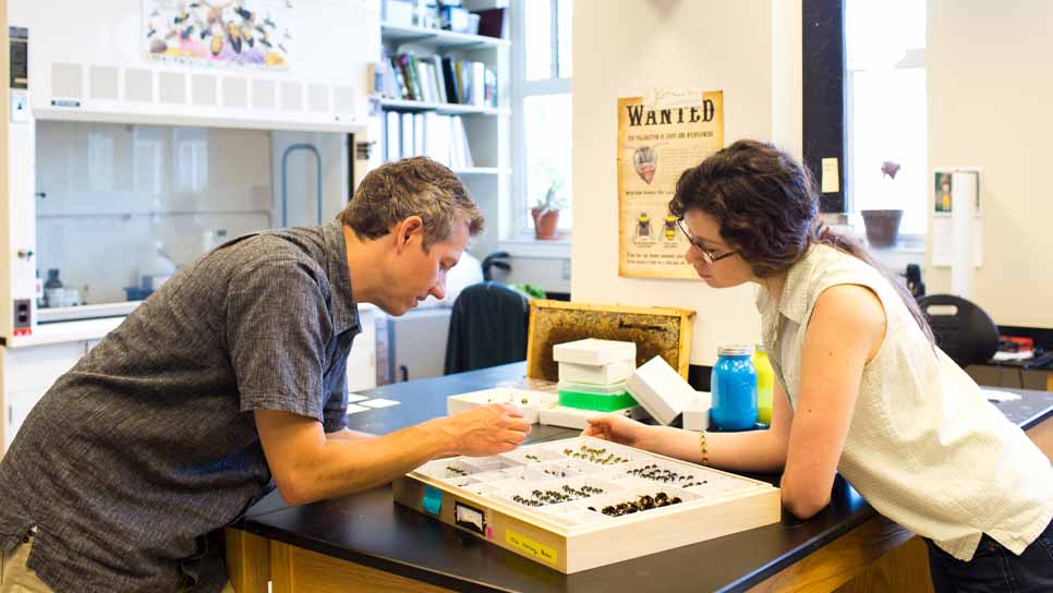 professor and student looking at objects in specimen box