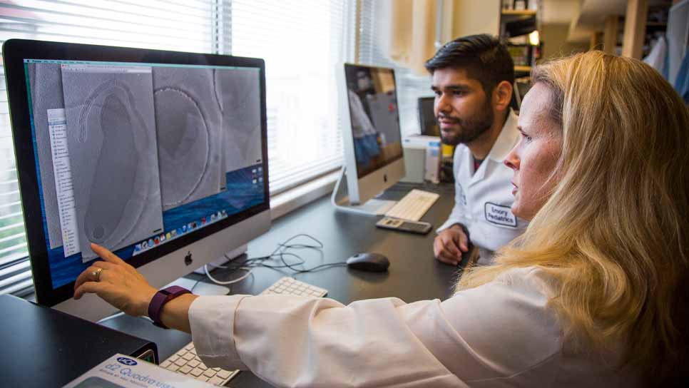 two researchers looking at an image on the computer