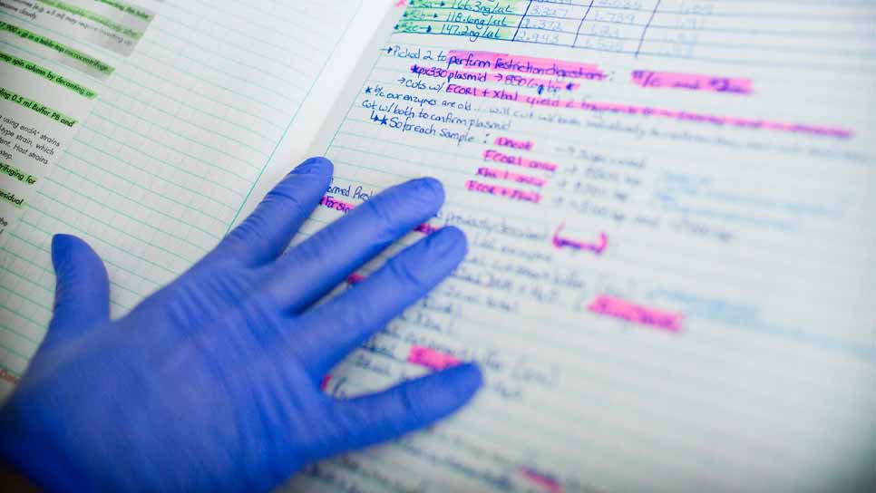 hand wearing purple lab glove on notebook page with pink highlighting